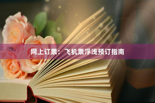 网上订票：飞机票浮浅预订指南