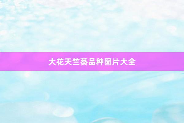 大花天竺葵品种图片大全