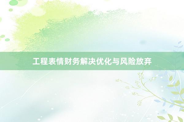 工程表情财务解决优化与风险放弃