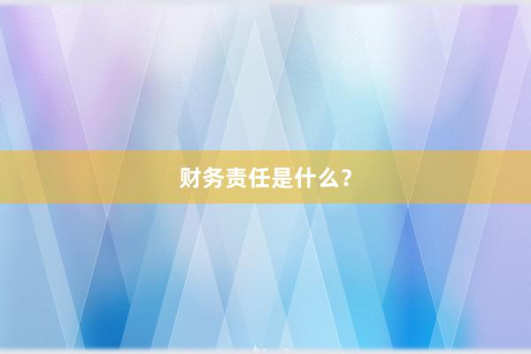 财务责任是什么？