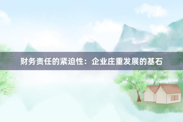 财务责任的紧迫性：企业庄重发展的基石